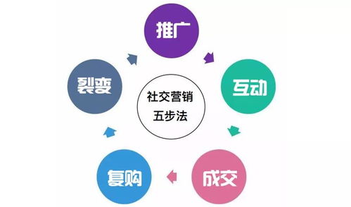 和平日策劃具體方案