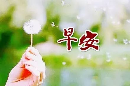 生病心態(tài)好的句子正能量