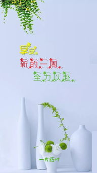 句子,能量,今日,工作