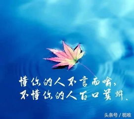 護士正能量的句子簡短唯美,樂觀正能量的句子簡短唯美,有哲理正能量的句子唯美