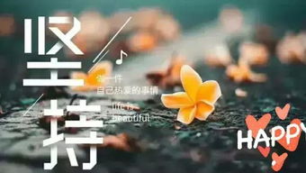 個字,句子,能量