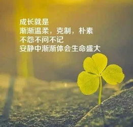 早安正能量的句子經(jīng)典語句,早安正能量的句子經(jīng)典語句關(guān)于努力和堅(jiān)持,正能量的句子經(jīng)典語句早安心語