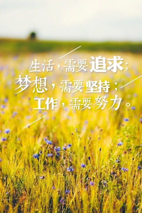 早安激勵(lì)正能量的句子,早安激勵(lì)人心的正能量句子,早安激勵(lì)正能量的句子適合發(fā)朋友圈