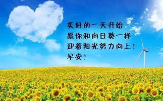 短語,句子,能量,兄弟