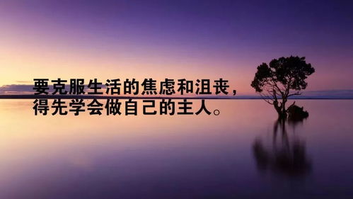 穆斯林正能量的句子經(jīng)典語(yǔ)句,雨天幽默正能量的句子,清晨勵(lì)志正能量的句子