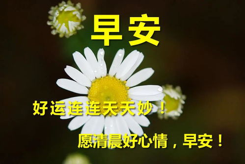 早上好祝福語優(yōu)美句子簡短,親愛的早上好祝福語優(yōu)美句子,群里早上好祝福語優(yōu)美句子