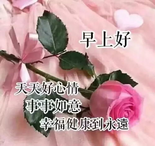 早上好祝福語優(yōu)美句子正能量