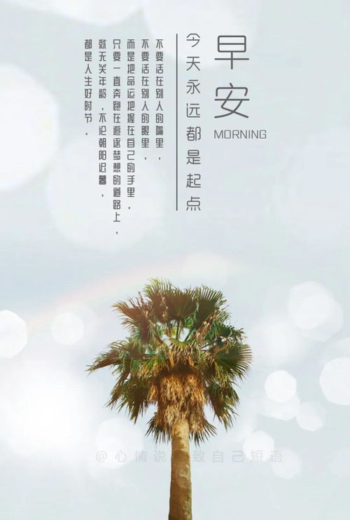 句子,能量,經(jīng)典