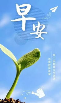 發(fā)朋友圈的讀書句子正能量陽(yáng)光