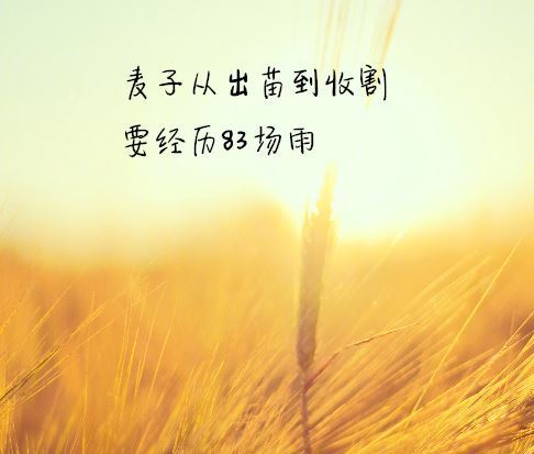 短句,子說(shuō),能量,心情