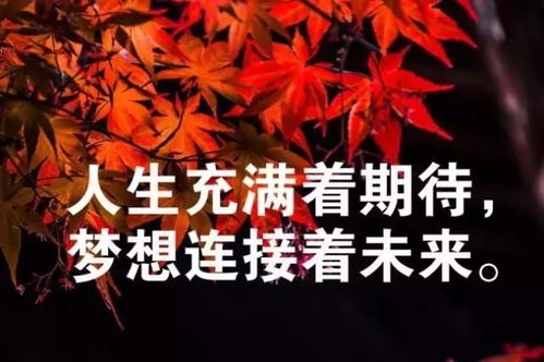 女人努力加油的句子正能量