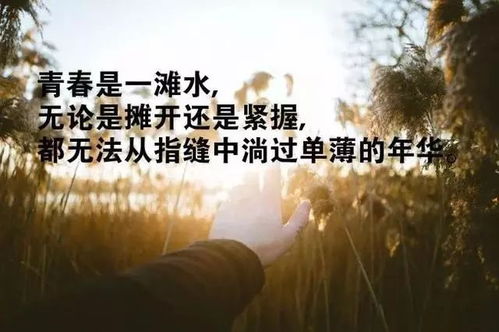 哲理,句子,能量