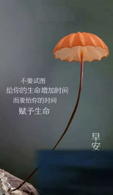 句子,能量,激情