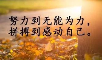 積極陽光正能量的勵(lì)志句子,陽光勵(lì)志正能量的句子發(fā)朋友圈,陽光勵(lì)志正能量的句子簡短