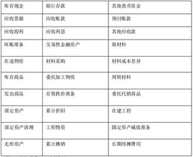 會計(jì)科目中的專項(xiàng)資金