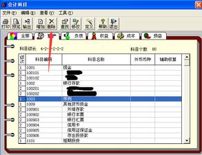 如何將會計(jì)科目復(fù)制