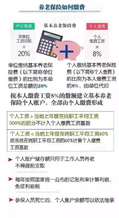 事業(yè)單位會(huì)計(jì)科目一覽表,事業(yè)單位會(huì)計(jì)科目明細(xì)表,事業(yè)單位預(yù)算會(huì)計(jì)科目