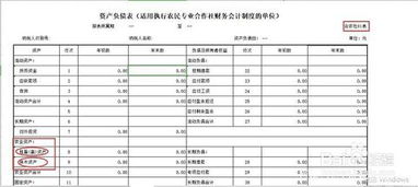 專業(yè)合作社賬務(wù)會(huì)計(jì)科目