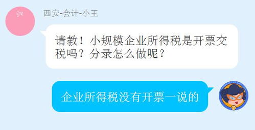 小規(guī)模企業(yè)所得稅會計科目