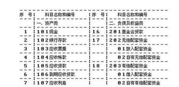 會計(jì)科目,代表