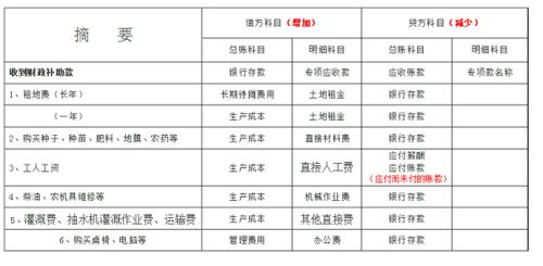 會計科目設置暫時不能執(zhí)行