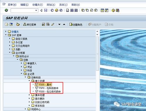 sap系統(tǒng)財務(wù)系統(tǒng)會計科目代碼