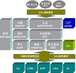 ca認(rèn)證會(huì)計(jì)科目