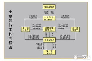 農(nóng)村土地流轉(zhuǎn)會計(jì)科目是什么