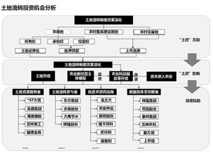 流轉(zhuǎn),農(nóng)村土地,會計(jì)科目