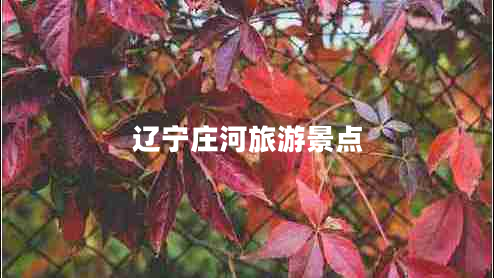 遼寧莊河旅游景點(diǎn)