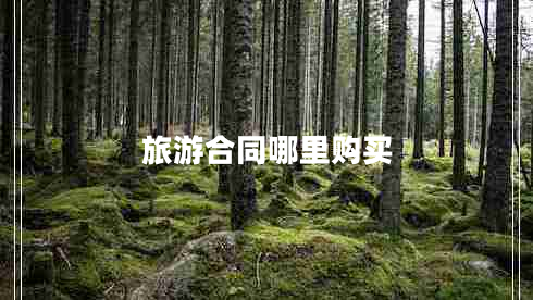 旅游合同哪里購(gòu)買(mǎi)