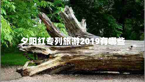 夕陽(yáng)紅專列旅游2019有哪些