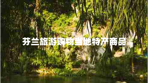 芬蘭旅游購(gòu)物當(dāng)?shù)靥禺a(chǎn)商品