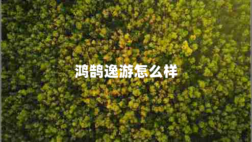 鴻鵠逸游怎么樣