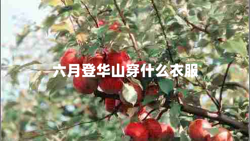 六月登華山穿什么衣服