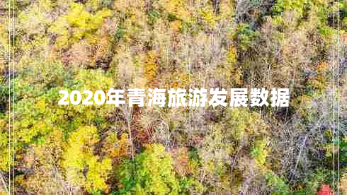 2020年青海旅游發(fā)展數據