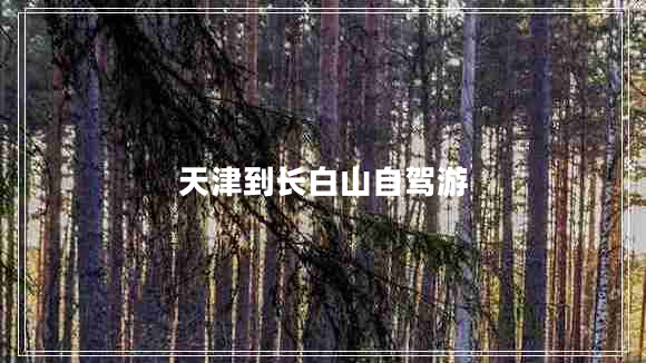 天津到長白山自駕游