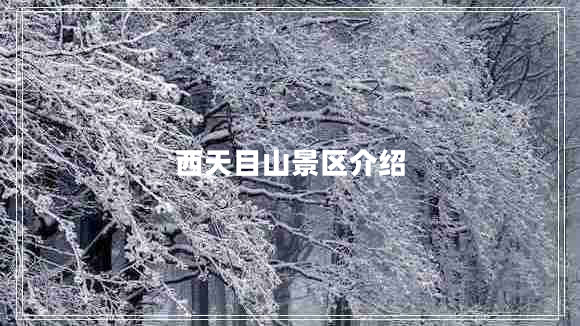 西天目山景區(qū)介紹