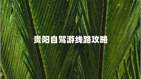 貴陽自駕游線路攻略