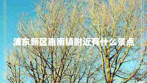 浦東新區(qū)惠南鎮(zhèn)附近有什么景點