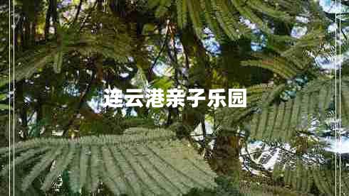 連云港親子樂園