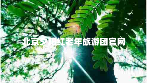 北京夕陽紅老年旅游團官網(wǎng)