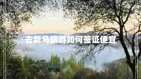 去新馬旅游如何簽證便宜