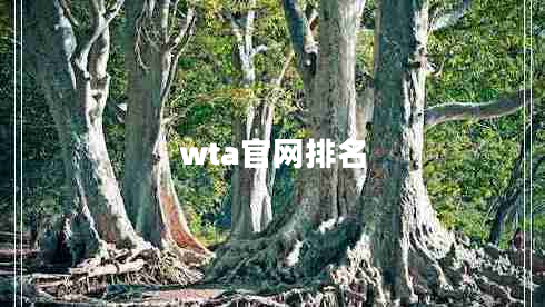 wta官網排名