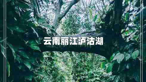 云南麗江瀘沽湖