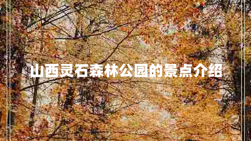 山西靈石森林公園的景點(diǎn)介紹