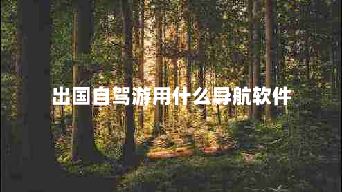 出國自駕游用什么導(dǎo)航軟件