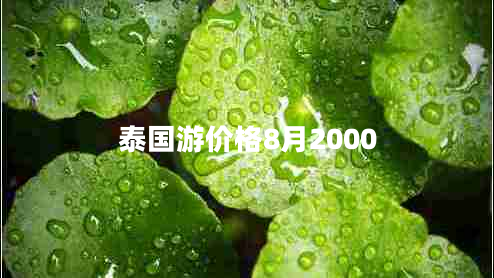 泰國游價格8月2000