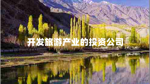 開(kāi)發(fā)旅游產(chǎn)業(yè)的投資公司