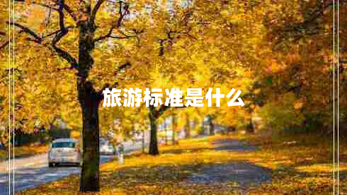 旅游標準是什么